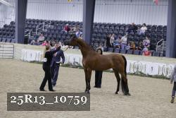 25R13_10759 thumbnail