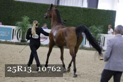 25R13_10762 thumbnail