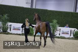 25R13_10763 thumbnail