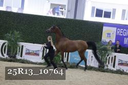 25R13_10764 thumbnail