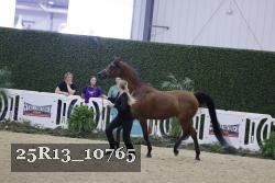 25R13_10765 thumbnail