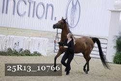 25R13_10766 thumbnail
