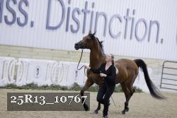 25R13_10767 thumbnail