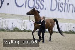 25R13_10768 thumbnail