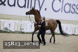25R13_10769 thumbnail