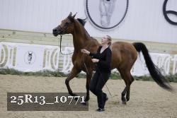 25R13_10771 thumbnail