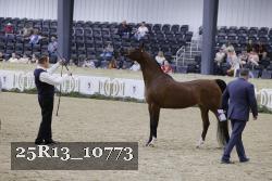 25R13_10773 thumbnail