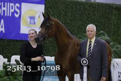 25R13_10798 thumbnail
