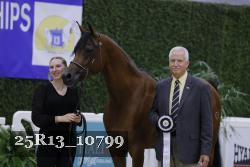 25R13_10799 thumbnail