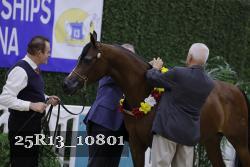 25R13_10801 thumbnail