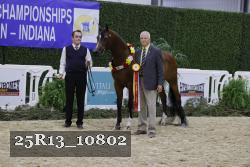 25R13_10802 thumbnail
