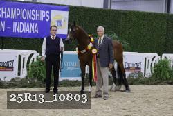 25R13_10803 thumbnail