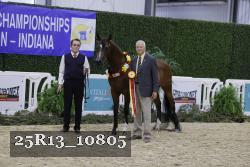 25R13_10805 thumbnail