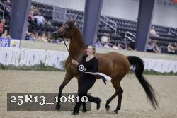 25R13_10810 thumbnail