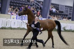 25R13_10811 thumbnail