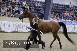 25R13_10812 thumbnail