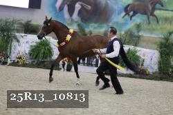 25R13_10813 thumbnail