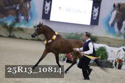 25R13_10814 thumbnail