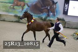 25R13_10815 thumbnail