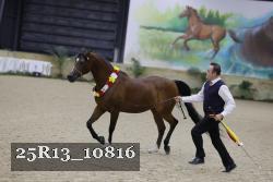 25R13_10816 thumbnail