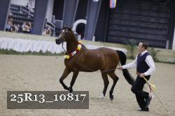 25R13_10817 thumbnail