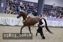 25R13_10818 thumbnail