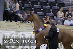 25R13_10819 thumbnail