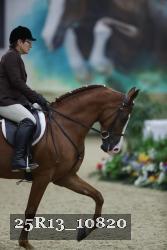 25R13_10820 thumbnail