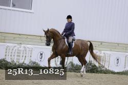 25R13_10825 thumbnail