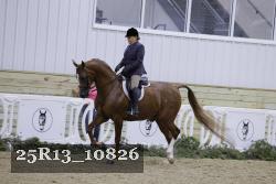 25R13_10826 thumbnail