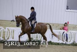25R13_10827 thumbnail