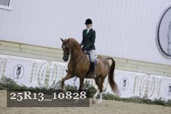 25R13_10828 thumbnail