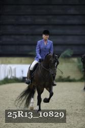 25R13_10829 thumbnail