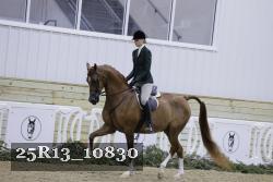 25R13_10830 thumbnail