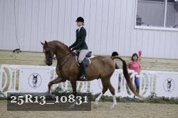 25R13_10831 thumbnail