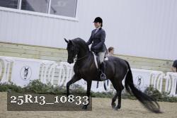 25R13_10833 thumbnail