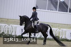 25R13_10834 thumbnail