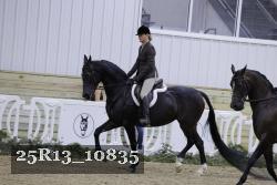 25R13_10835 thumbnail