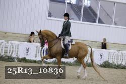 25R13_10836 thumbnail