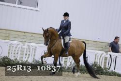 25R13_10837 thumbnail