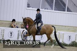 25R13_10838 thumbnail