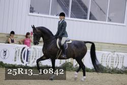 25R13_10842 thumbnail
