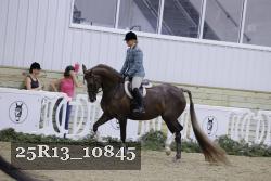25R13_10845 thumbnail