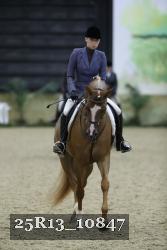 25R13_10847 thumbnail