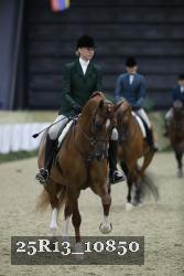 25R13_10850 thumbnail