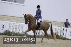 25R13_10851 thumbnail