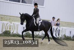 25R13_10854 thumbnail