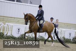 25R13_10856 thumbnail