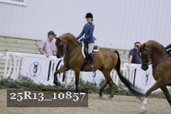 25R13_10857 thumbnail