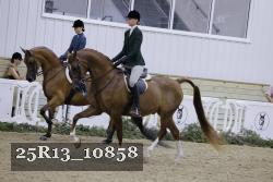 25R13_10858 thumbnail